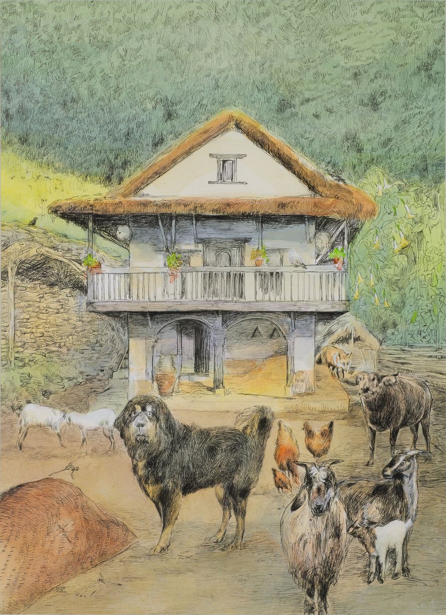 Watching Out / Seeing In