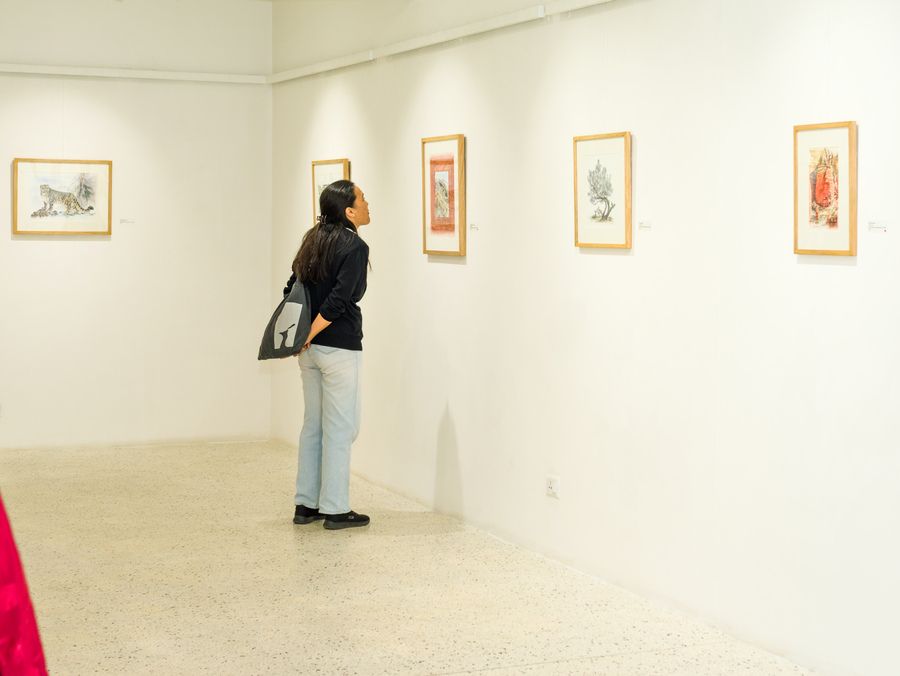 echoes-of-the-highlands-installed-artworks-gallery23